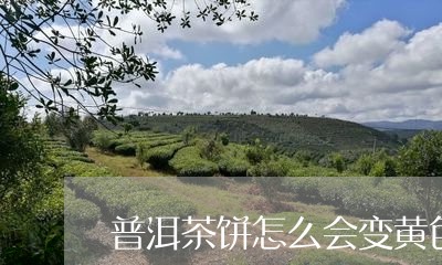 普洱茶饼怎么会变黄色/2023092649505