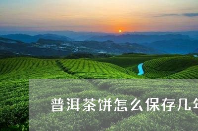 普洱茶饼怎么保存几年/2023121707240