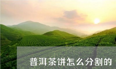 普洱茶饼怎么分割的/2023083196292