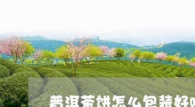 普洱茶饼怎么包装好喝一点/2023112645160