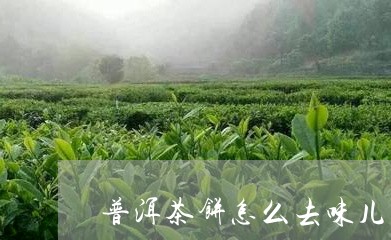 普洱茶饼怎么去味儿的视频/2023110404936