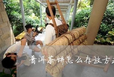 普洱茶饼怎么存放方式/2023100828258