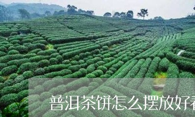 普洱茶饼怎么摆放好看/2023092969936