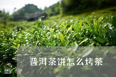 普洱茶饼怎么烤茶/2023101692047