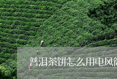 普洱茶饼怎么用电风筒/2023062243723