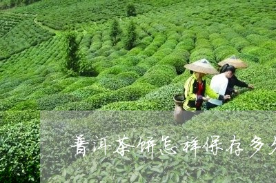 普洱茶饼怎样保存多久/2023080101028