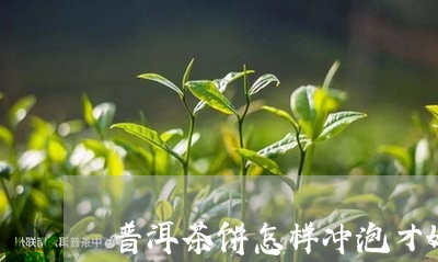 普洱茶饼怎样冲泡才好喝图片/2023052835171