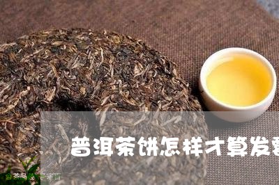 普洱茶饼怎样才算发霉/2023062968460