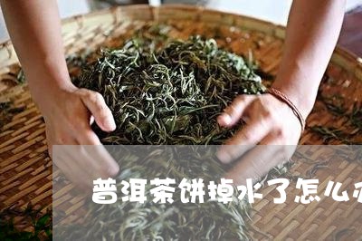 普洱茶饼掉水了怎么办/2023092636169