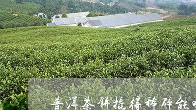 普洱茶饼撬得稀碎能喝吗/2023112530596