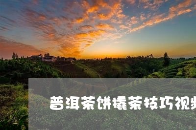 普洱茶饼撬茶技巧视频/2023110726240