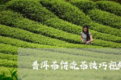 普洱茶饼撬茶技巧视频大全/2023112434171