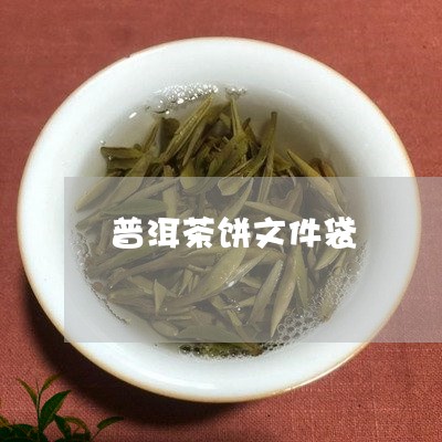 普洱茶饼文件袋/2023112555059