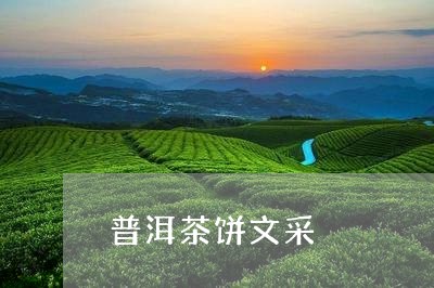 普洱茶饼文采/2023042700466