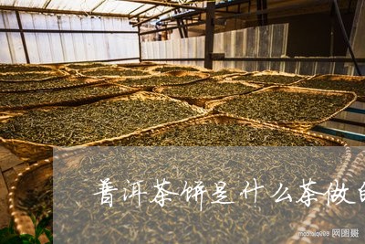 普洱茶饼是什么茶做的好/2023082448380