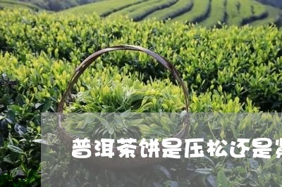 普洱茶饼是压松还是紧/2023072362795