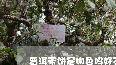 普洱茶饼是咖色吗好不好/2023121751805