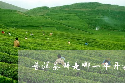 普洱茶饼是哪一年开始有的/2023051326242