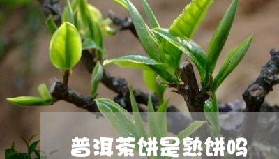 普洱茶饼是熟饼吗/2023120429473