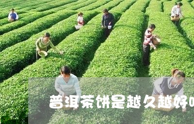 普洱茶饼是越久越好吗/2023072351738