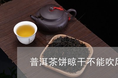 普洱茶饼晾干不能吹风/2023100780492