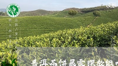 普洱茶饼暴露摆放能喝吗/2023081478168