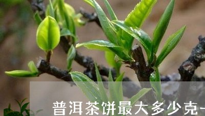 普洱茶饼最大多少克一包/2023110160583