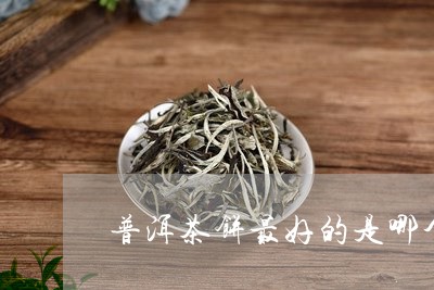 普洱茶饼最好的是哪个/2023092818252