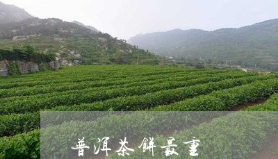 普洱茶饼最重/2023102577494