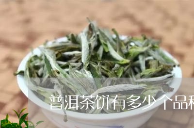 普洱茶饼有多少个品种/2023062192793