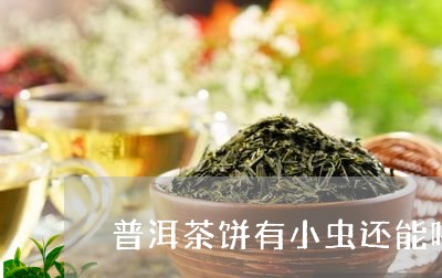 普洱茶饼有小虫还能喝吗/2023110160493