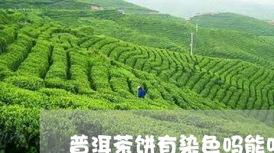 普洱茶饼有染色吗能吃吗/2023112439370