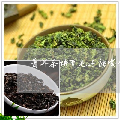 普洱茶饼有毛还能喝吗/2023092898381