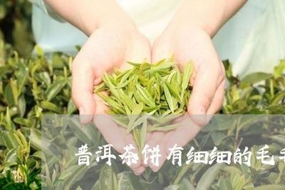 普洱茶饼有细细的毛毛/2023092770715