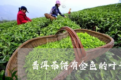 普洱茶饼有金色的叶子/2023092984826