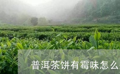 普洱茶饼有霉味怎么处理掉/2023110210474