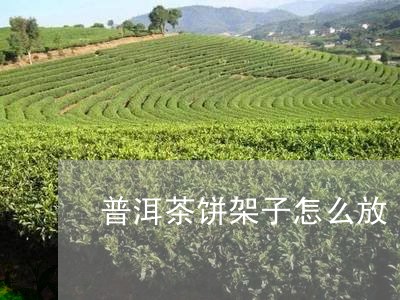 普洱茶饼架子怎么放/2023120593737