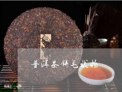 普洱茶饼毛状物/2023101661795