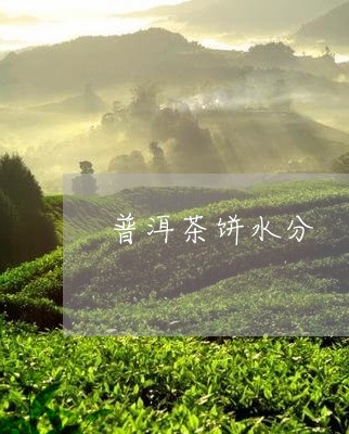 普洱茶饼水分/2023042753233