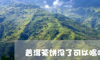 普洱茶饼没了可以喝吗/2023061826139