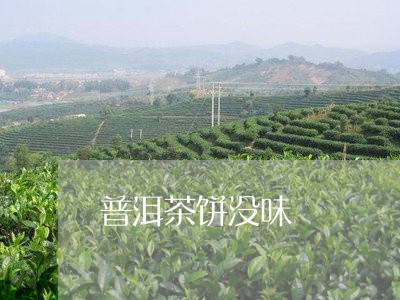 普洱茶饼没味/2023042713612