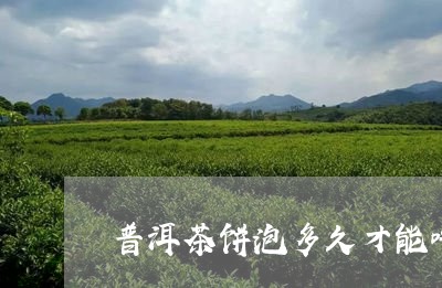 普洱茶饼泡多久才能吃了/2023083183158