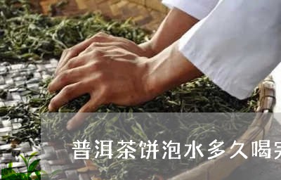 普洱茶饼泡水多久喝完最好/2023121701795