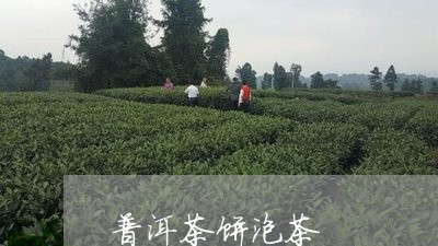 普洱茶饼泡茶/2023042755864