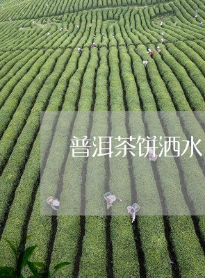 普洱茶饼洒水/2023042702112