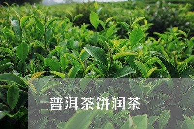 普洱茶饼润茶/2023042865478