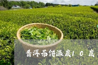 普洱茶饼温度10度/2023100539362