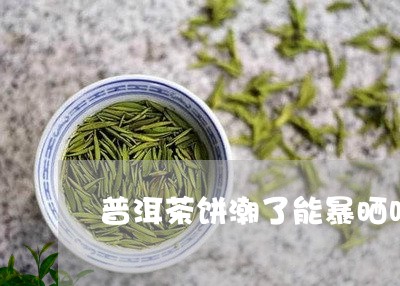 普洱茶饼潮了能暴晒吗/2023061685836