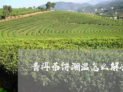 普洱茶饼潮湿怎么解决/2023080213946