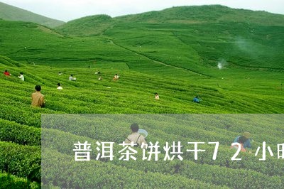 普洱茶饼烘干72小时/2023120761613